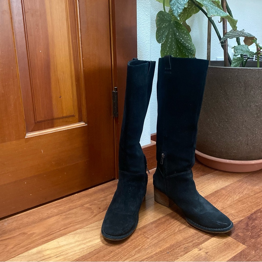 Gorgeous black suede knee high boot